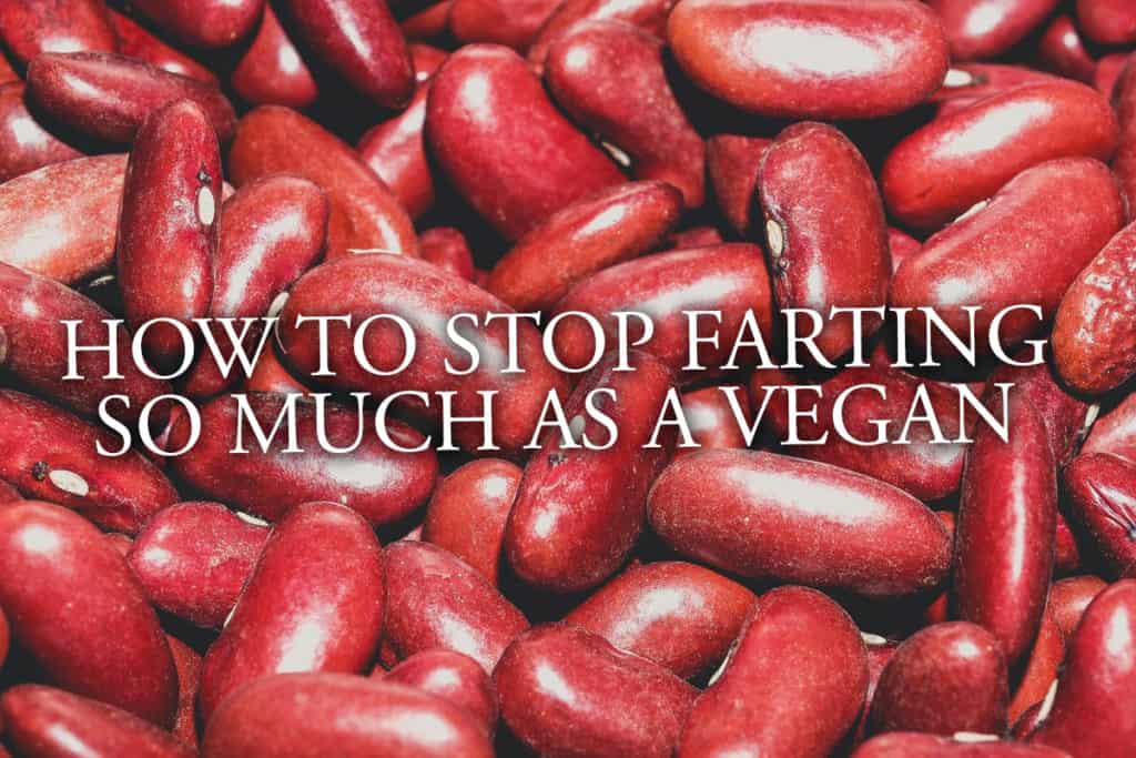 17 Tips To Stop Farting So Much On A Vegan Diet